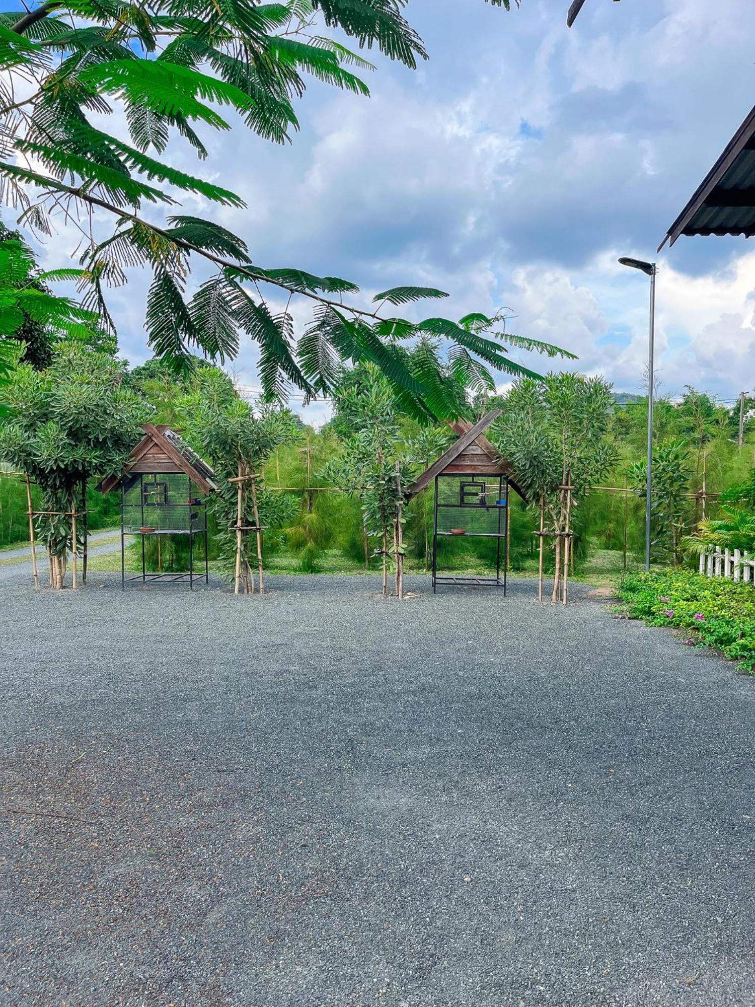 North Pine Forest Homestay บ้านไม้สนโฮมสเตย์ Ban Mae Pong Buitenkant foto